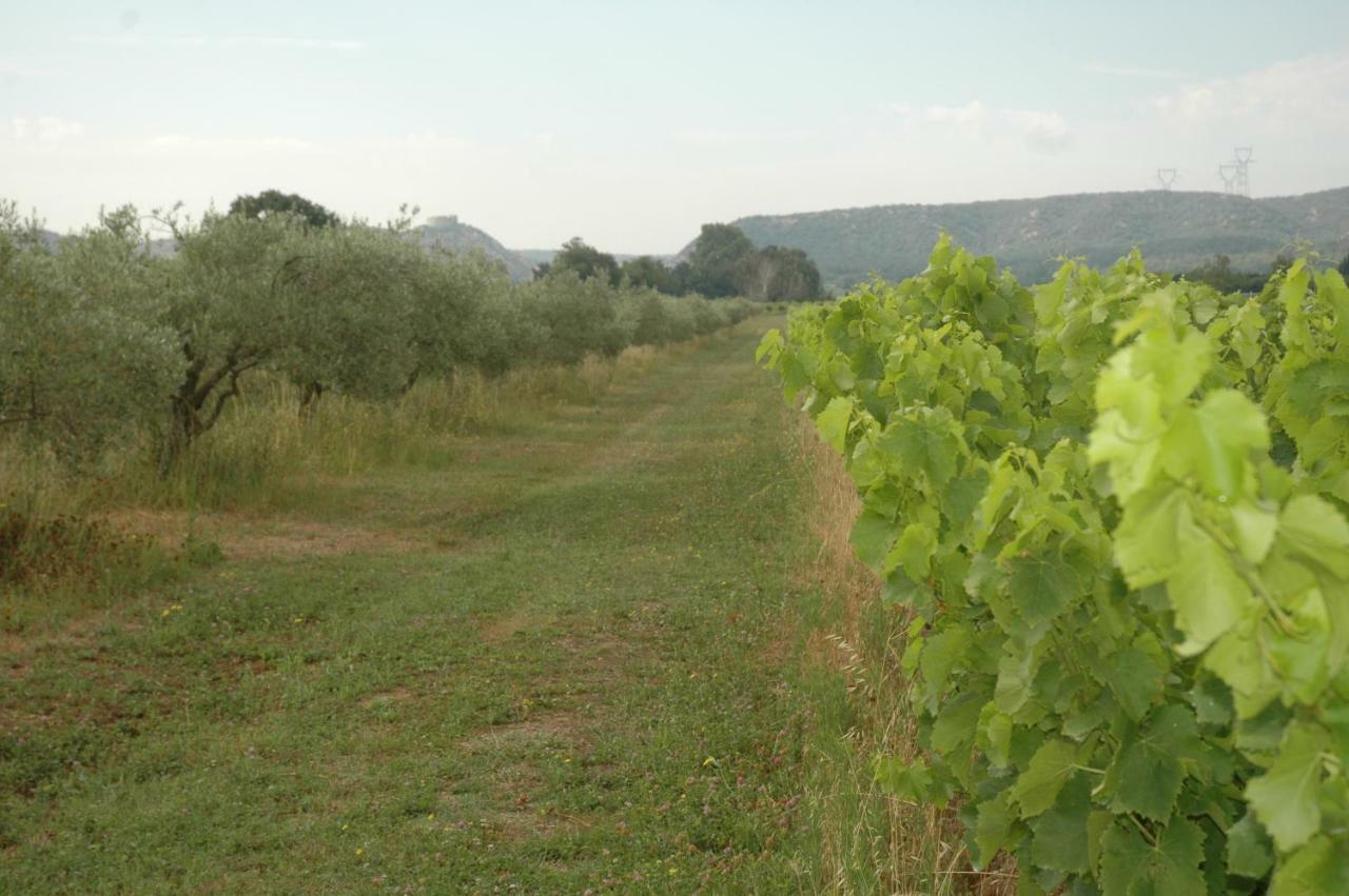 Domaine De Sevanes Saint-Paul-les-Fonts Exterior foto